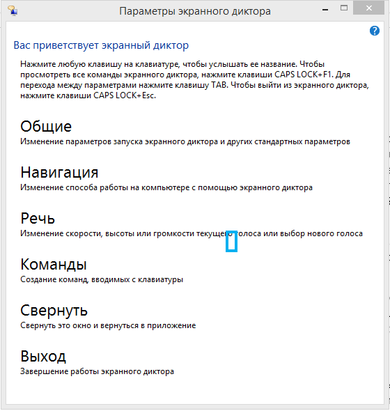 параметры_экранного_диктора